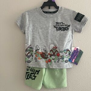 Teenage Mutant Ninja Turtles Kids Matching Set - Gray and Green